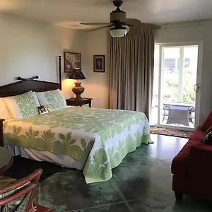 Hale Pua - Seaside Villa